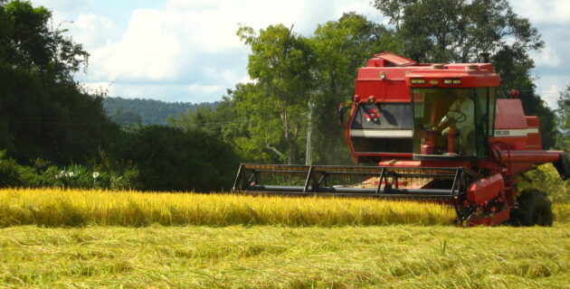 Com previsão de crescimento de 5%, agronegócio deve impulsionar PIB em 2022 Com previsão de crescimento de 5%, agronegócio deve impulsionar PIB em 2022