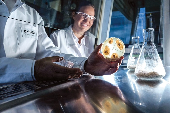 A BASF está se aprofundando na biotecnologia industrial A BASF está se aprofundando na biotecnologia industrial