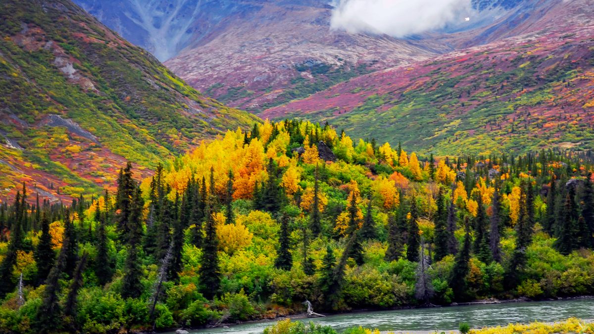 Granite ganha projeto de ponte de $ 100 milhões no Parque Nacional Denali Granite ganha projeto de ponte de $ 100 milhões no Parque Nacional Denali