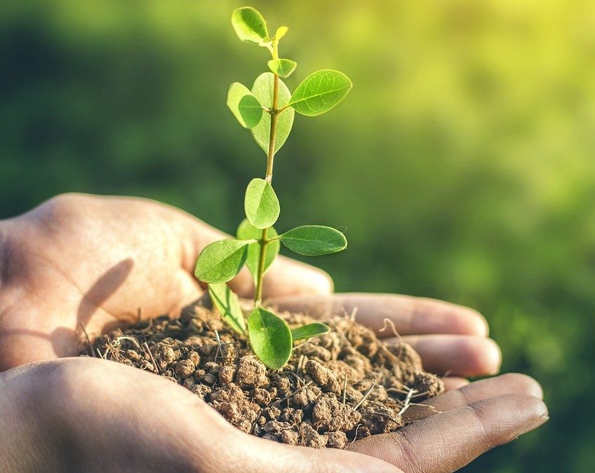 PepsiCo e Fertiberia lançam programa para produzir fertilizante a partir de hidrogênio verde PepsiCo e Fertiberia lançam programa para produzir fertilizante a partir de hidrogênio verde