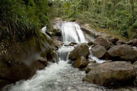 Carnaval na Natureza: Três Parques para Relaxar e se Conectar com o Meio Ambiente Carnaval na Natureza: Três Parques para Relaxar e se Conectar com o Meio Ambiente