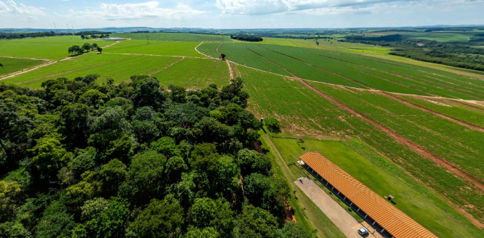 Curso técnico gratuito em Agropecuária oferece formação prática em um dos setores que mais crescem no Brasil Curso técnico gratuito em Agropecuária oferece formação prática em um dos setores que mais crescem no Brasil